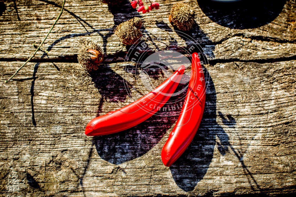 CinniBird Red